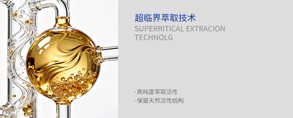 核心技术