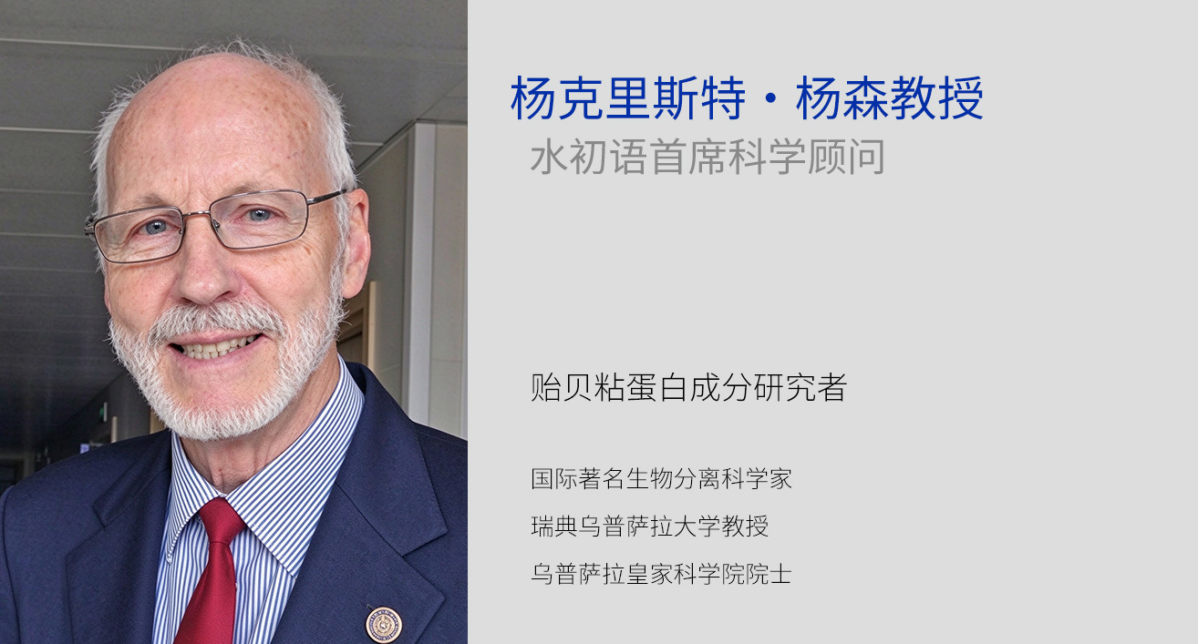 专业研发团队成员
